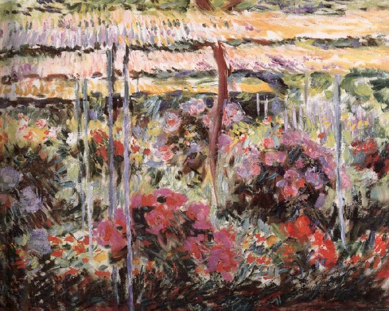 Claude Monet Peonies